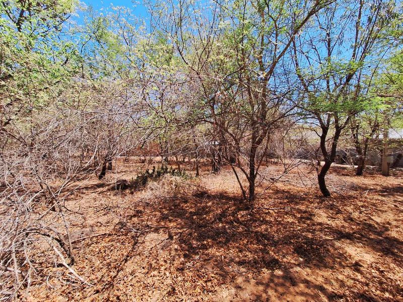 Stand In Quite Area - Photo 2