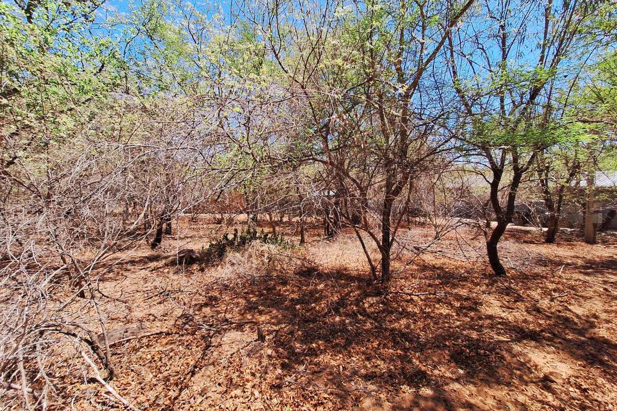 A view of a vacant residential plot featuring mature trees and natural ground cover.