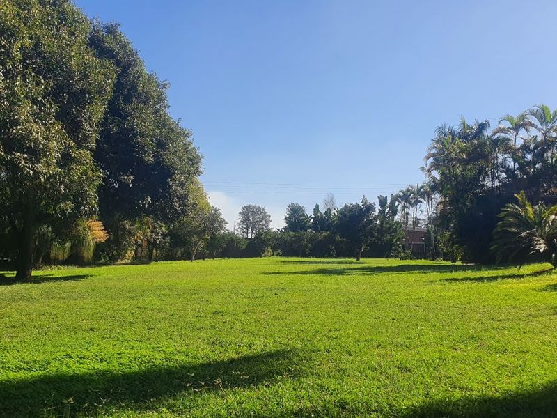 A spacious, well-maintained garden featuring a large open lawn area surrounded by mature trees and established landscaping.