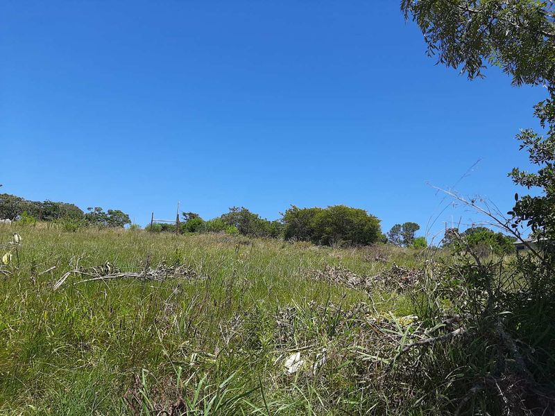 SOUGHT AFTER AREA - Photo 2