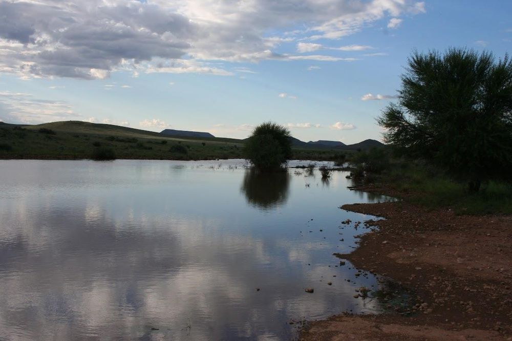 Water pooled together after the rain