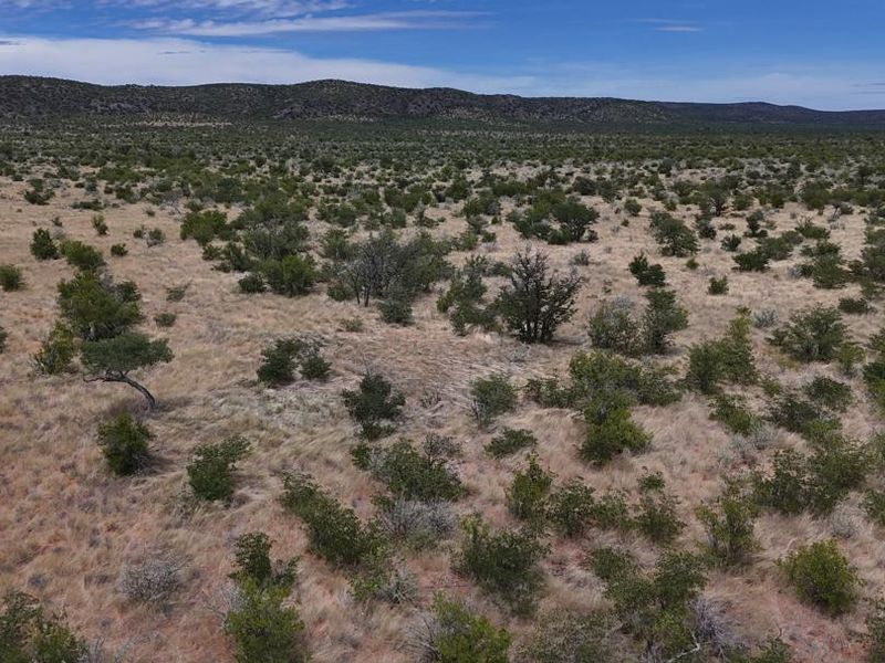 A well-priced opportunity in the heart of the Khorigas district – perfect for serious buyers looking to invest in Namibia’s agricultural sector. - Photo 3