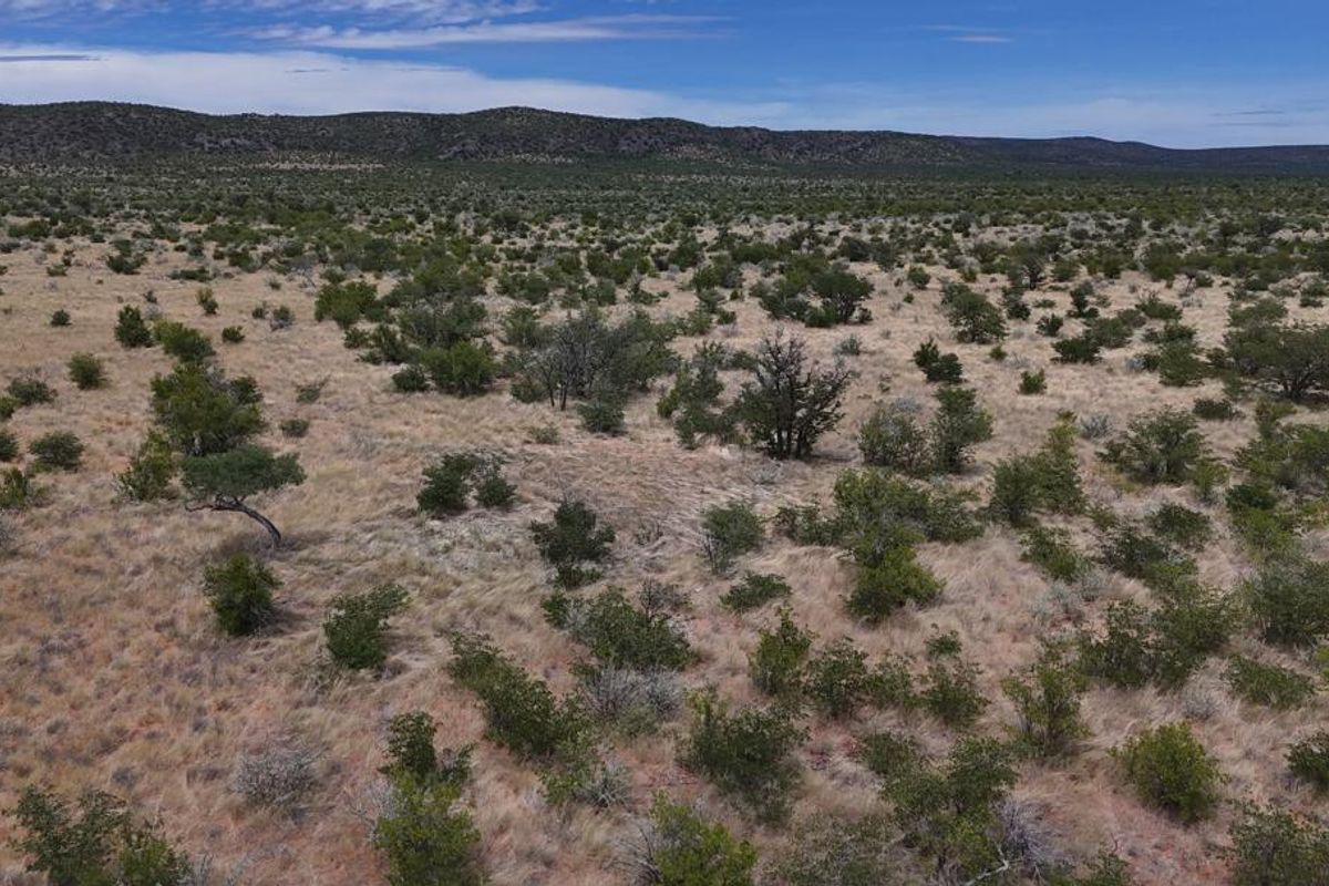 A well-priced opportunity in the heart of the Khorigas district – perfect for serious buyers looking to invest in Namibia’s agricultural sector. - Photo 3