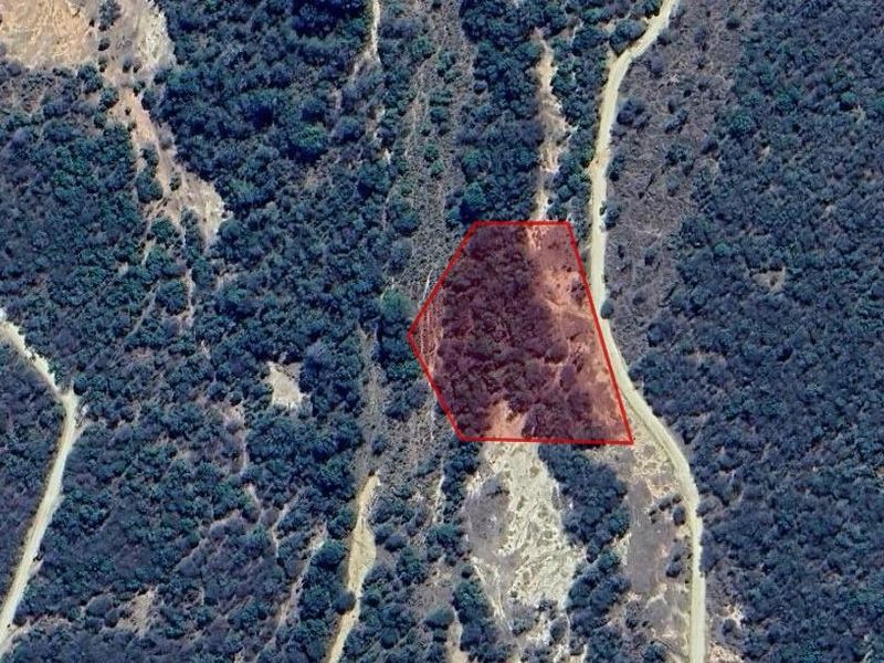 Well-Located, Riverfront Stand in Moditlo Wildlife Estate - Photo 9