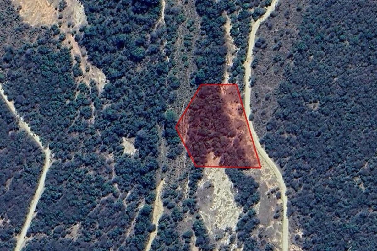 Aerial view of a vacant residential plot highlighted in red, situated within a natural, wooded landscape with access to nearby dirt roads.