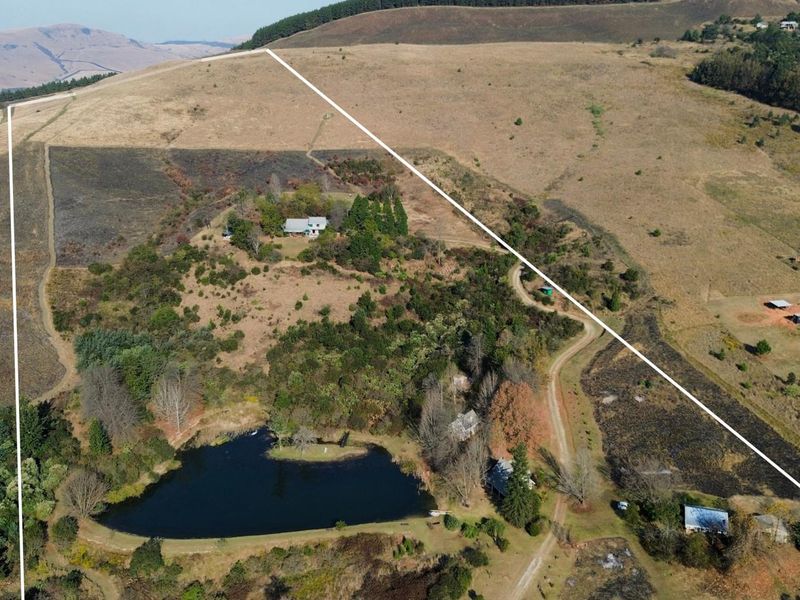 Exceptional Lifestyle Farm with Established Accommodation Business in Dargle - Photo 4