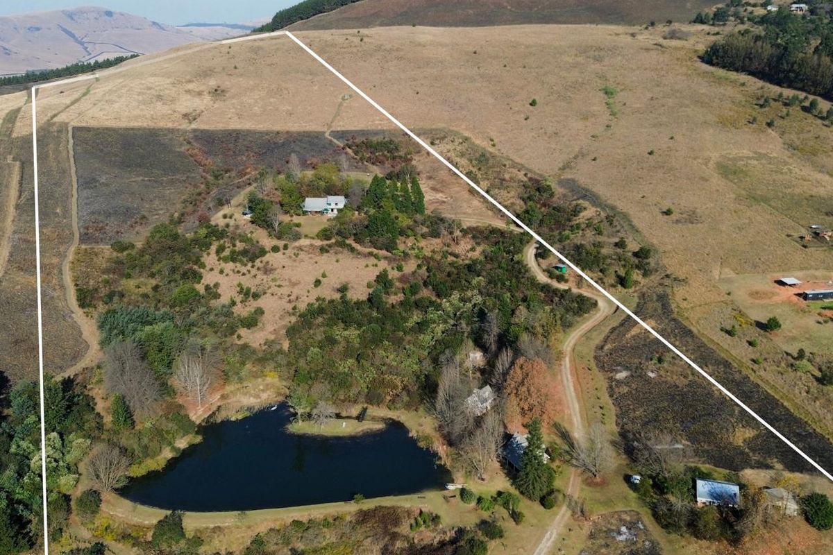 Exceptional Lifestyle Farm with Established Accommodation Business in Dargle - Photo 4