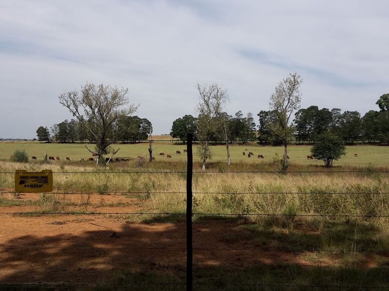 Farm for Sale - Photo 3