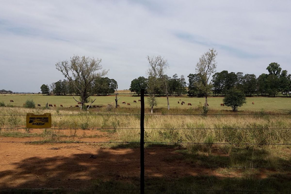 Farm for Sale - Photo 3