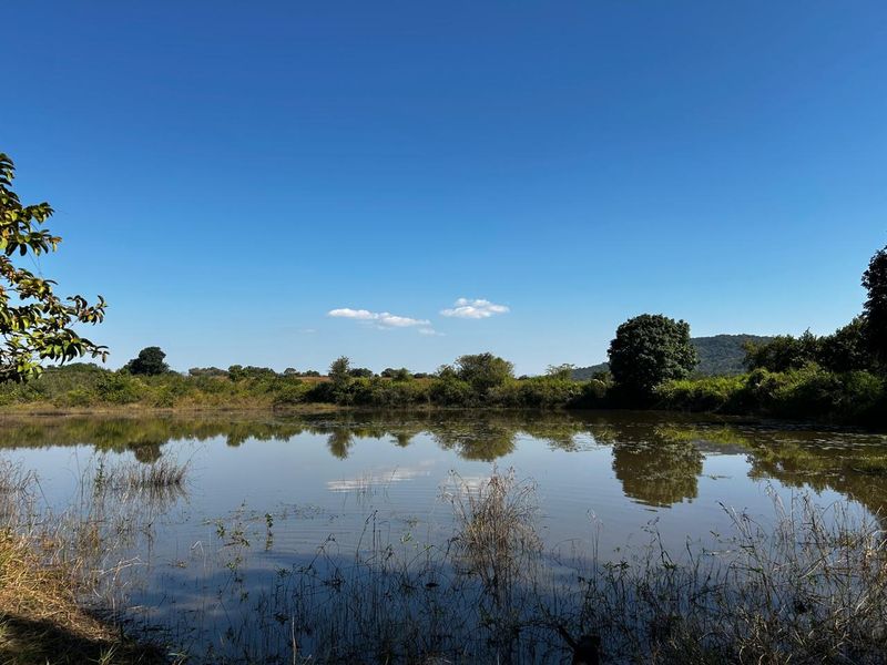 OFFERS WELCOME! Frost-Free Farm: Perfect for Farming, Lifestyle or Business Ventures - Photo 2