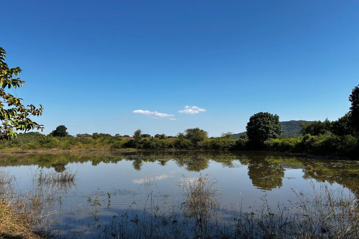 OFFERS WELCOME! Frost-Free Farm: Perfect for Farming, Lifestyle or Business Ventures - Photo 2