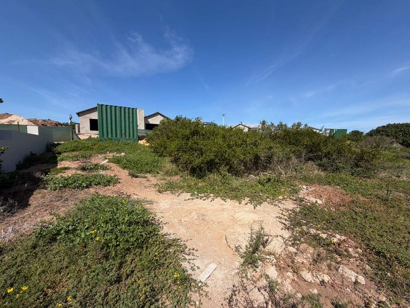 A view of a vacant residential plot featuring natural vegetation and a boundary wall, with neighboring construction visible in the background.