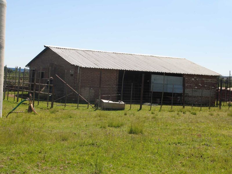 Feast your eyes on this lovely property well suited for Bonafide farming or as an Equestrian property - Photo 6