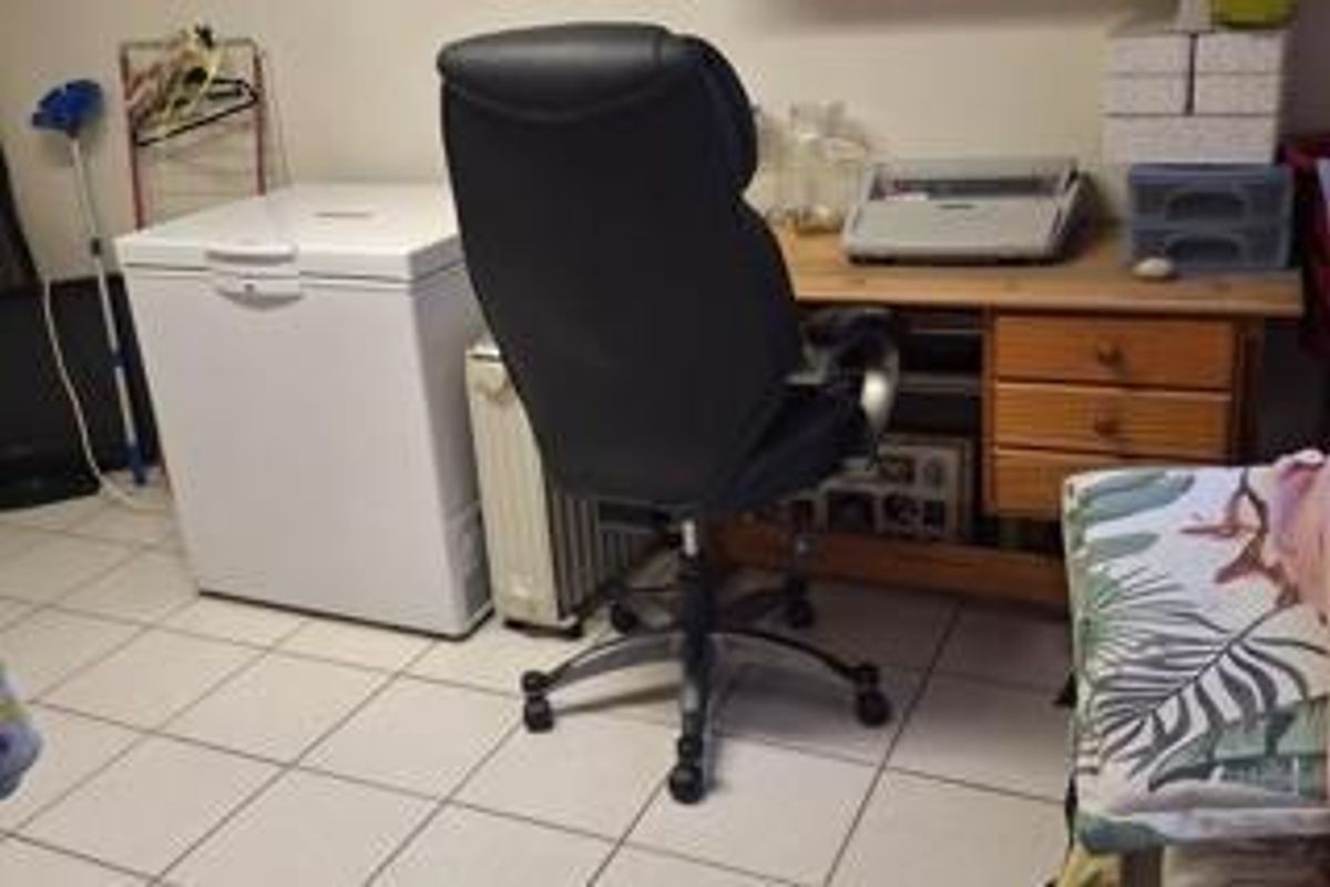 Neat 2-Bedroom Home with Separate Cottage and Double Garage - Photo 4