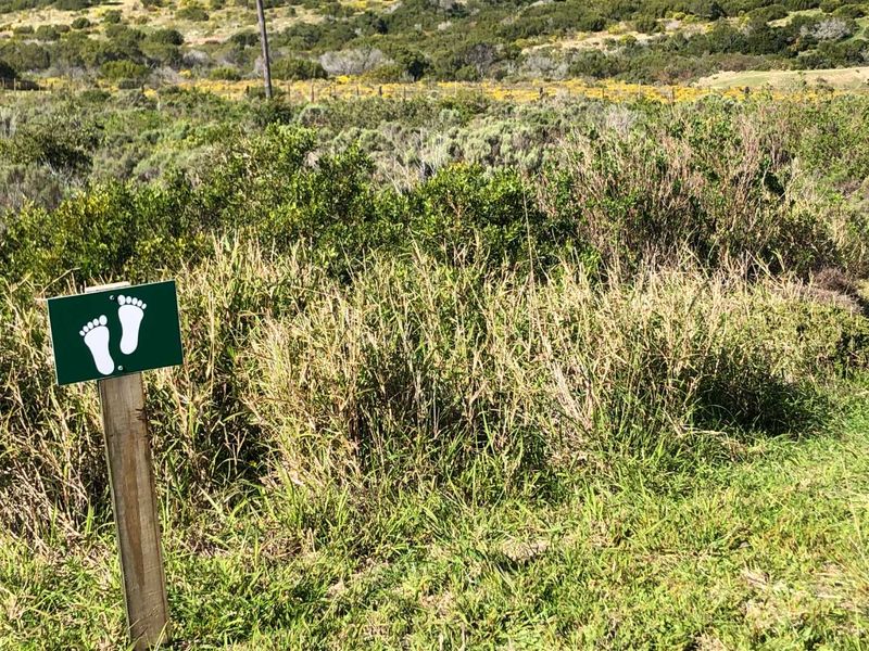 Experience Peace and Security in Num Num Estate - Photo 2