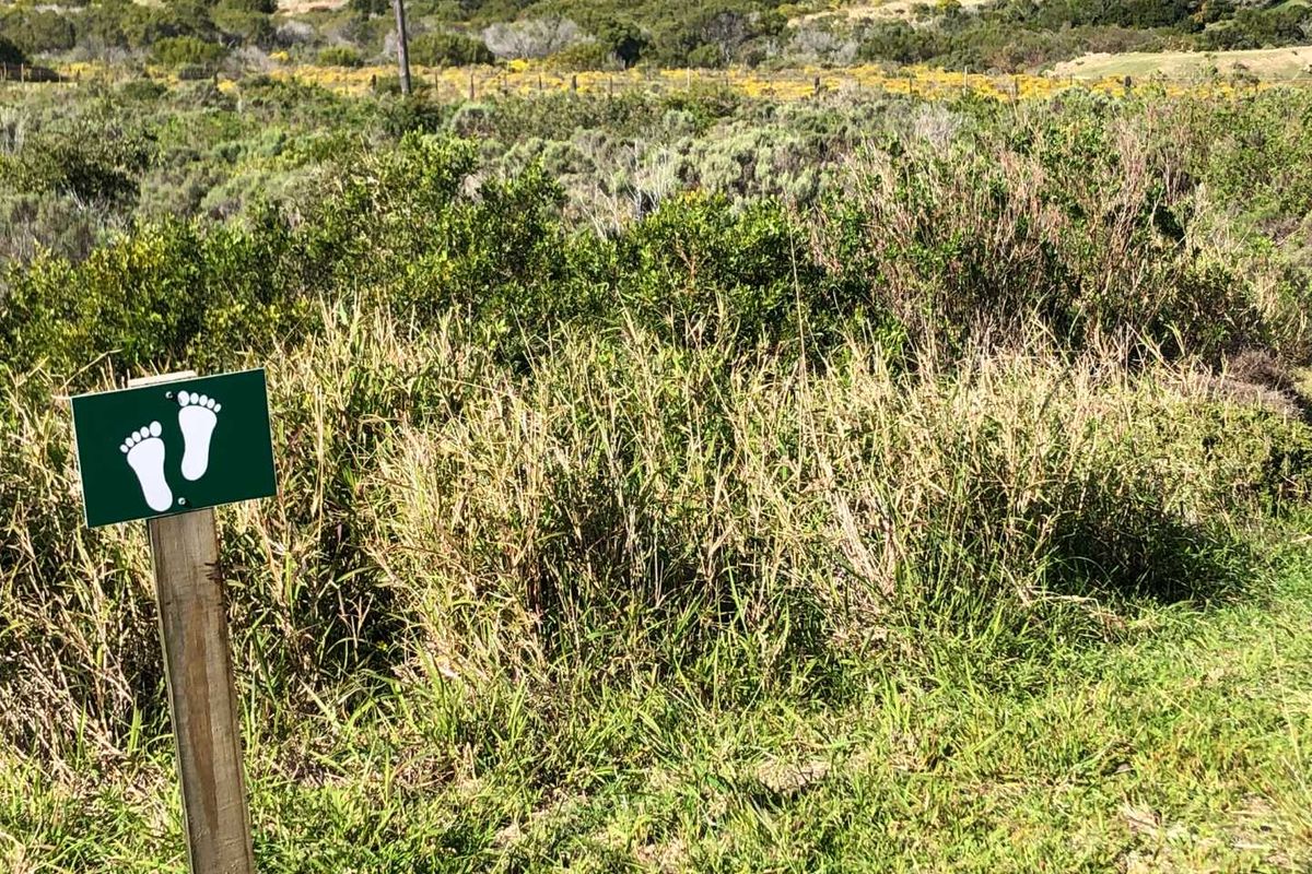 Experience Peace and Security in Num Num Estate - Photo 2