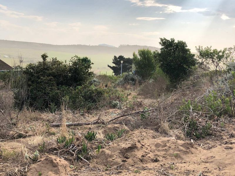 Nature Lover's Haven: Private Reserve & Wildlife at Your Doorstep - Photo 7