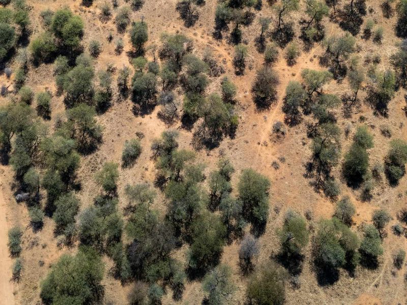 DEVELOP YOUR DREAM RETREAT IN SHONA LANGA RESORT - Photo 5