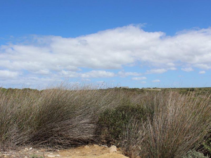 Bosbokduin Bliss - Photo 8