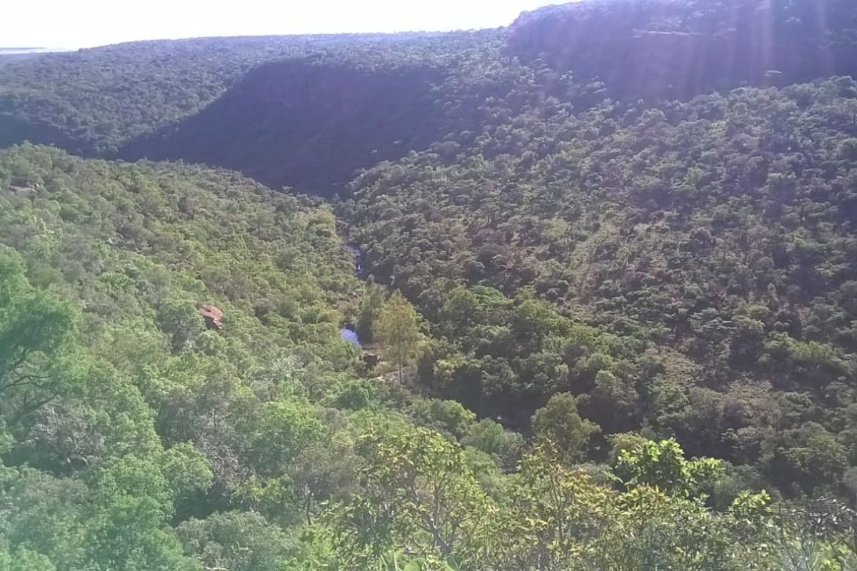 Vacant Land for Sale Cullinan - Photo 5