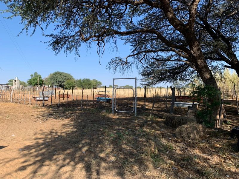 An outdoor farm area featuring wire fencing, metal gates, and livestock water troughs under the shade of a large mature tree.