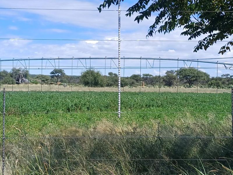 This is a unique opportunity to secure a versatile property combining comfortable living, efficient operation, and strong income potential. - Photo 7