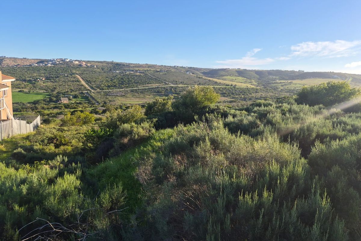 A scenic view overlooking the natural landscape and surrounding hills, showcasing the expansive terrain of the vacant residential property.