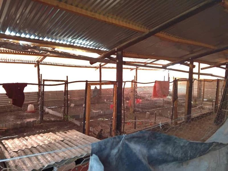 GROOTFONTEIN PLOT FOR SALE! BARGAIN OF THE YEAR! - Photo 8