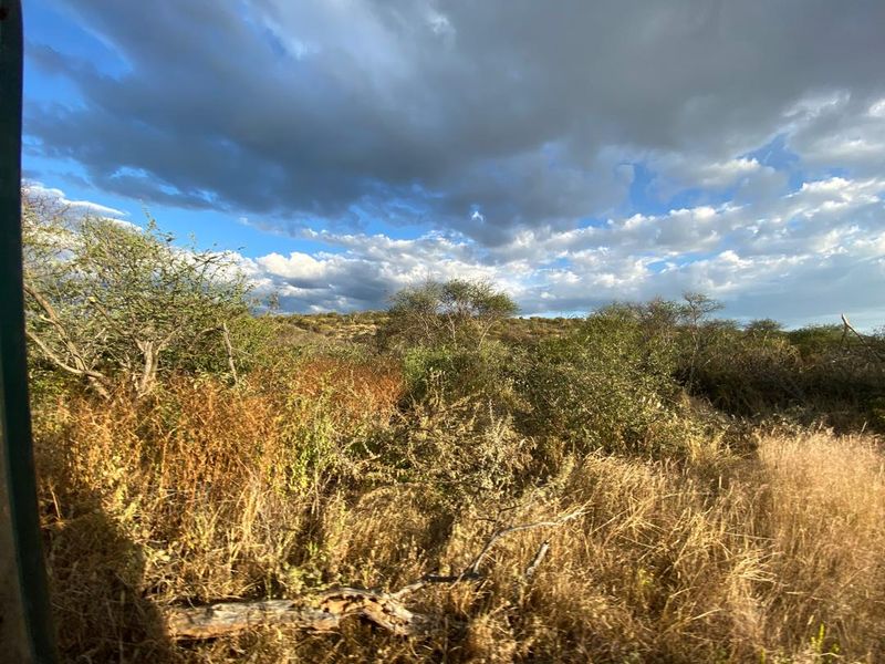 A 700 hectare farm just outside Outjo, where the bushveld opens into wide plains and clear skies, lies a well-developed farm — Ideal for irrigation & small stoc - Photo 3