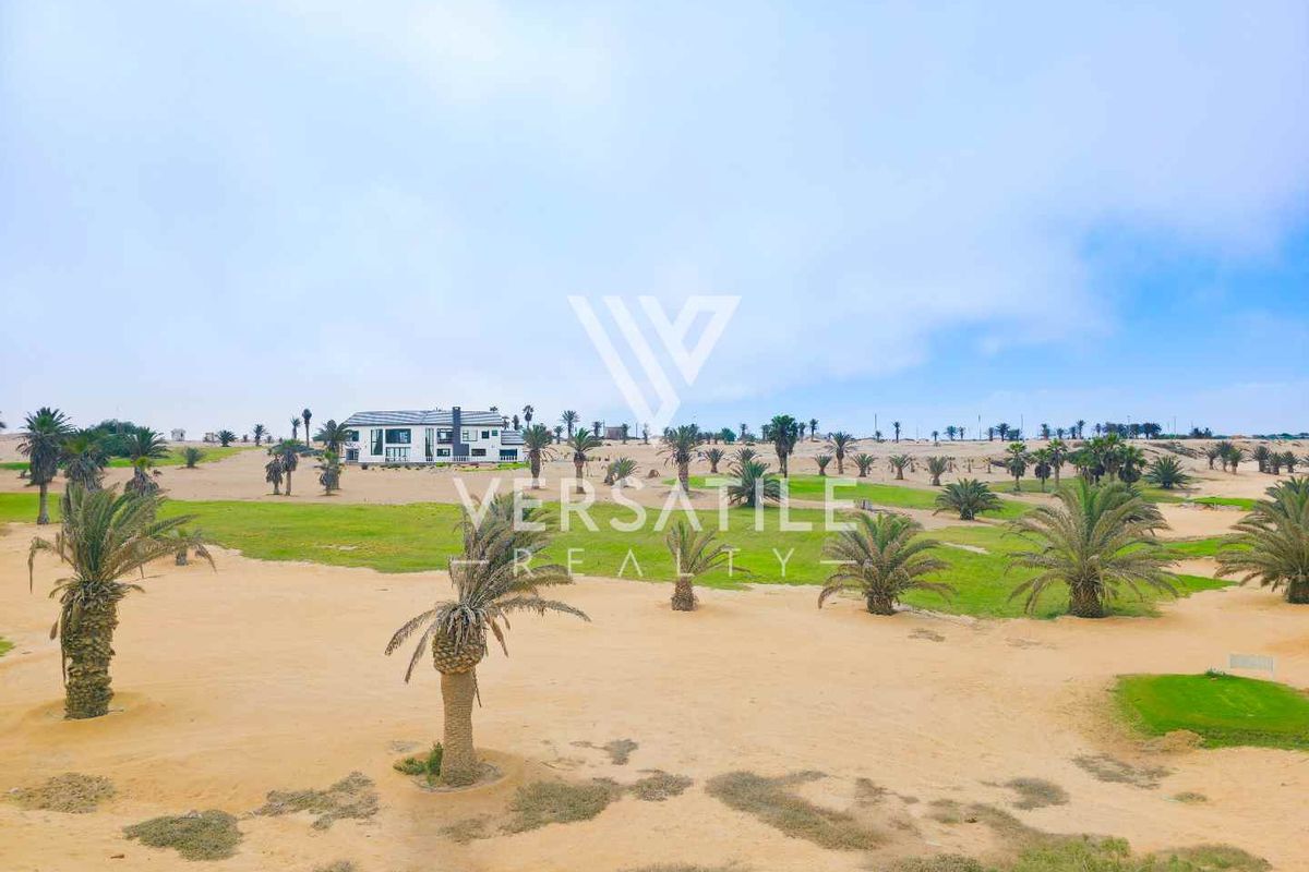 An aerial view of a residential land plot featuring sandy terrain, scattered palm trees, and manicured green spaces with a distant building.