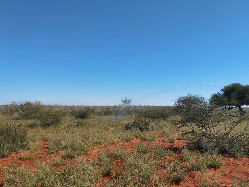 overview of farm land