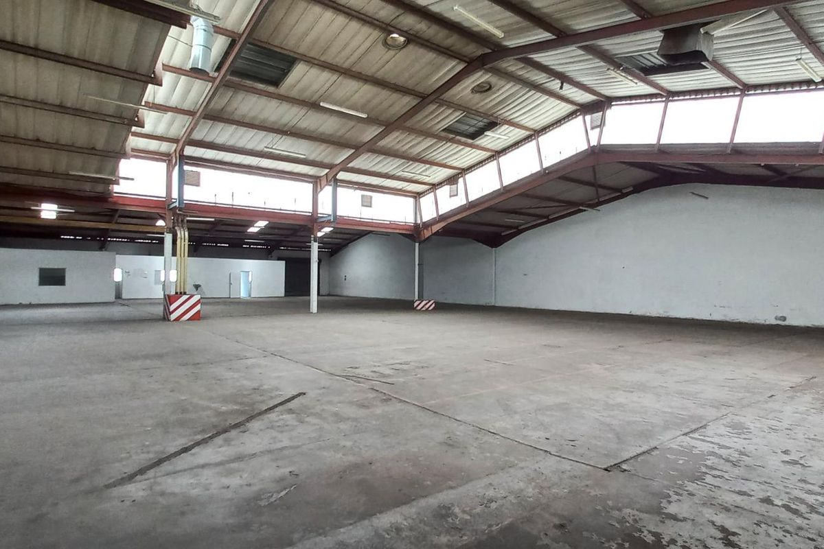 Spacious industrial warehouse featuring high ceilings, exposed steel trusses, concrete flooring, and a large roller shutter door for easy access.