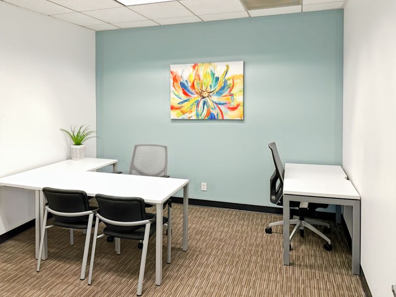 A functional office space featuring neutral carpet flooring, a suspended ceiling, and a soft blue accent wall.