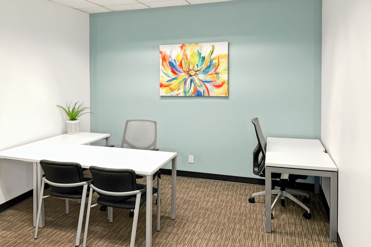 A functional office space featuring neutral carpet flooring, a suspended ceiling, and a soft blue accent wall.