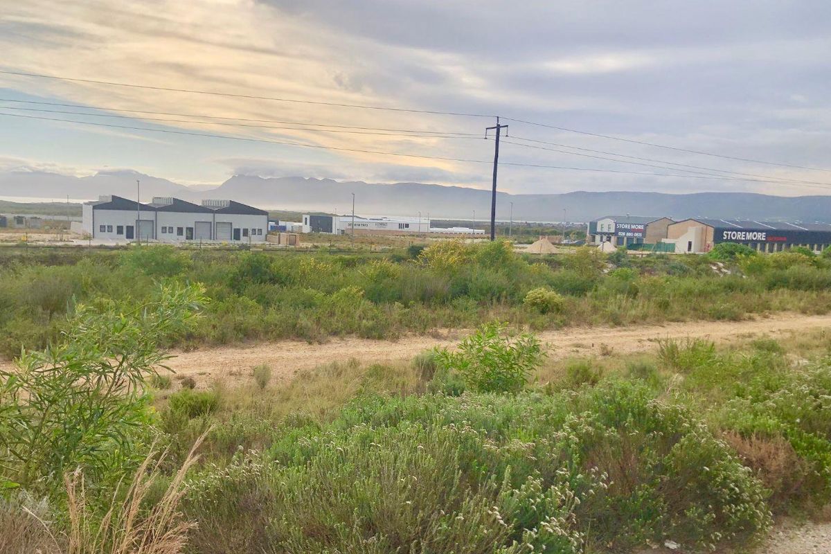 A view of the vacant commercial land featuring natural vegetation, an unpaved access track, and surrounding industrial buildings in the distance.
