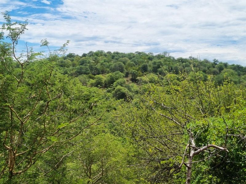 Excellent location - Photo 10