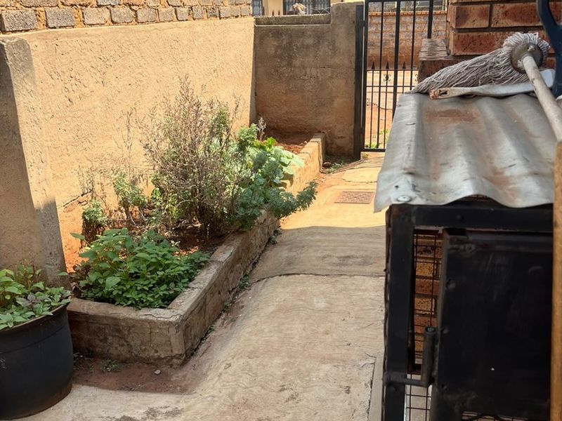 A rear exterior area featuring a concrete pathway, raised planter bed, and brick boundary walls with a metal security gate.