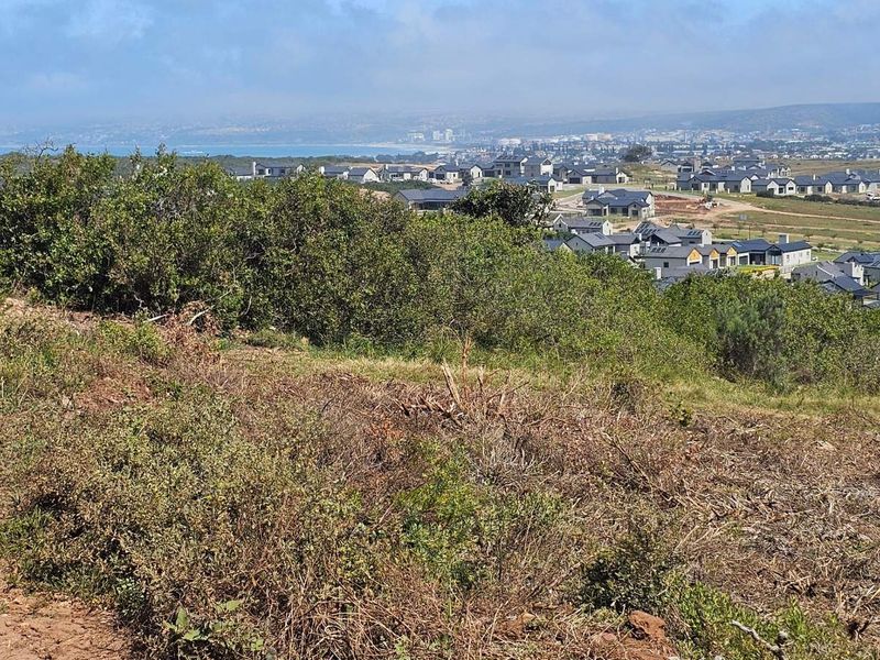 Plot & Plan options now selling in Hartland Lifestyle Estate - Photo 4