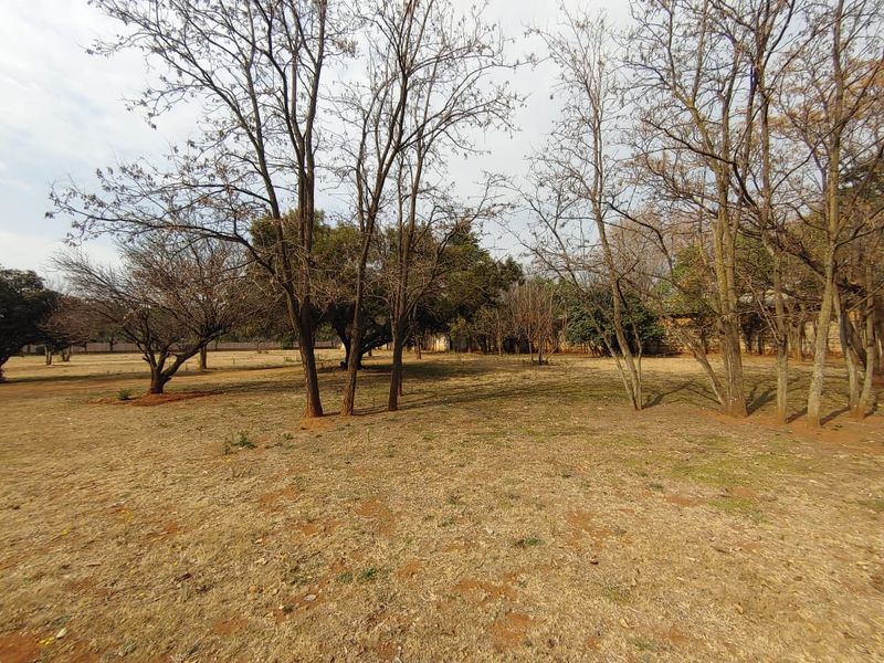Spacious 2.3ha Lifestyle Property with Established Rental Income - Photo 10