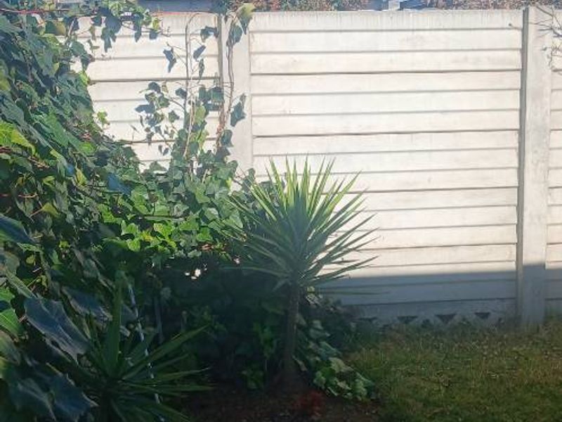 A view of the rear garden area featuring a precast concrete boundary wall and established garden beds with lawn.