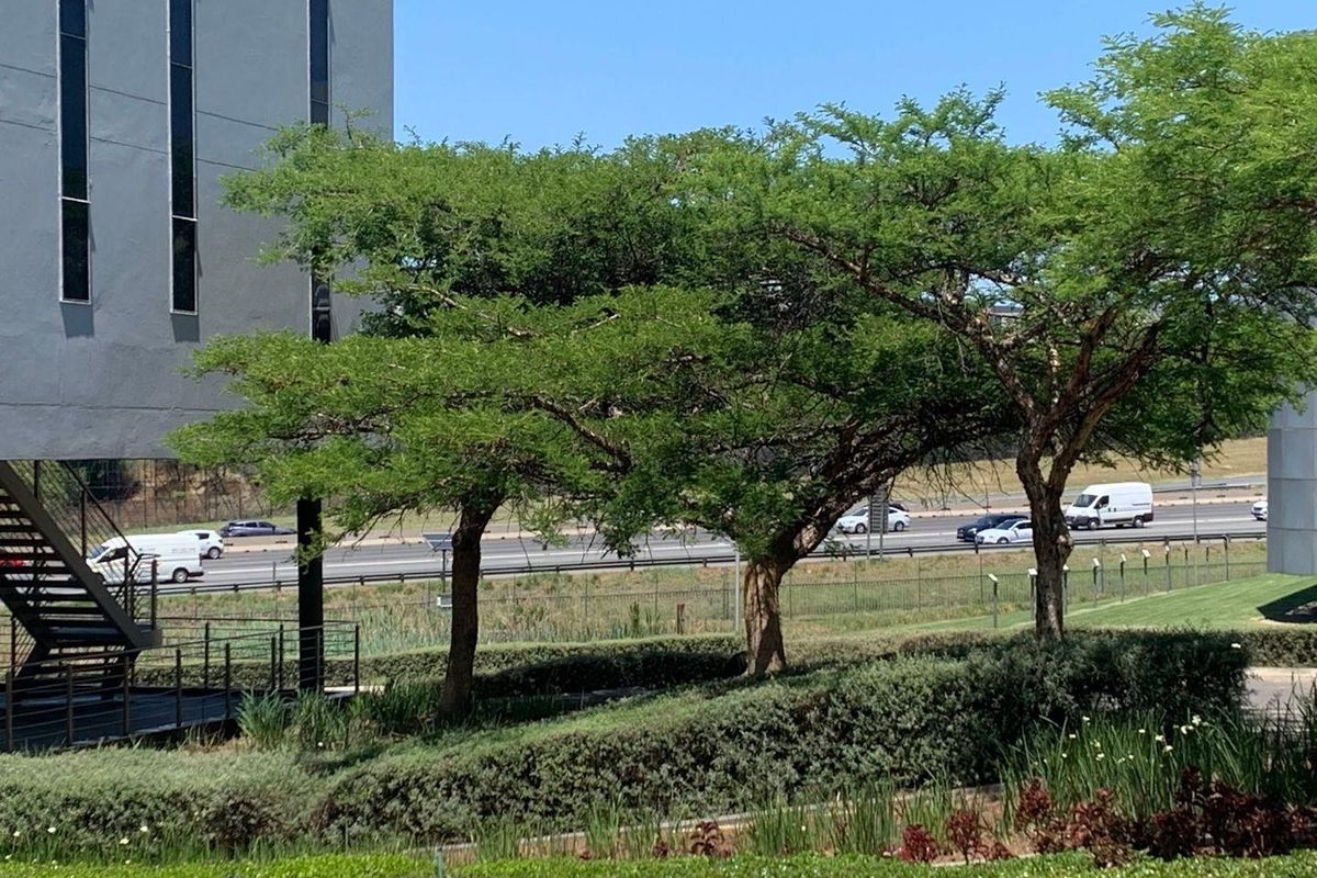 Exterior view of the office building featuring a metal staircase, landscaped garden area, and perimeter fencing with a view of the adjacent highway.
