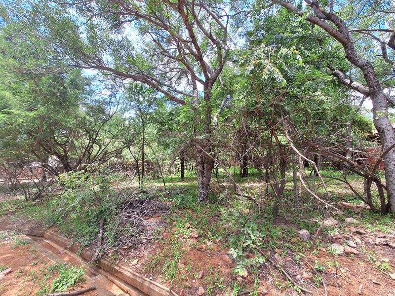 Tranquil Corner Stand - Prime Location - Photo 4