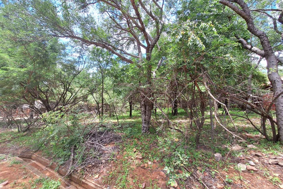 Tranquil Corner Stand - Prime Location - Photo 4