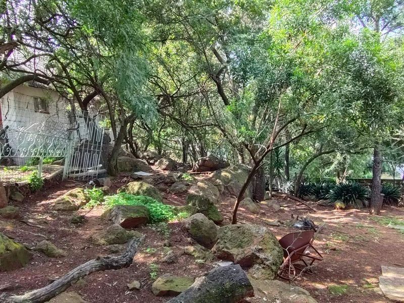 Bassonia Gem: Endless Potential on 4720sqm Stand!!! - Photo 7