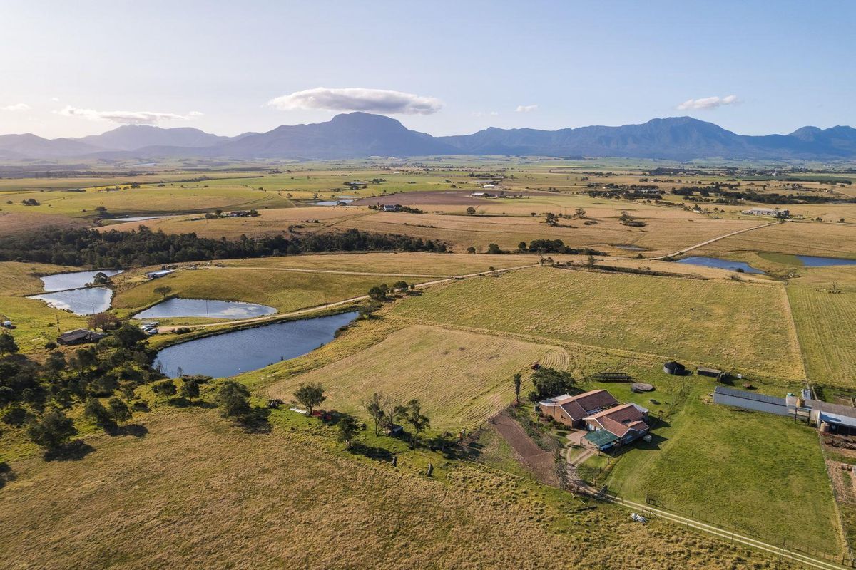 SMALLHOLDING FOR SALE: OFF-GRID OASIS IN THE WESTERN CAPE - Photo 4