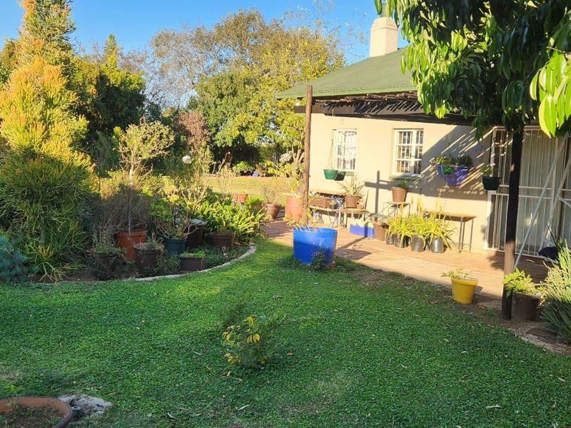 9.5 Hectares Farm for Sale - Do not miss this amazing opportunity it will not be around for long. - Photo 10