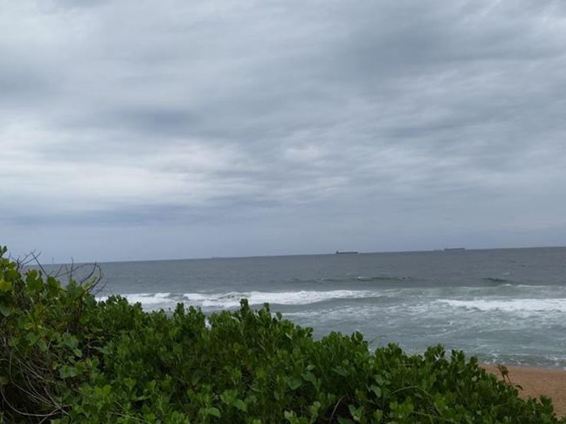 Investor Dream Land - Photo 3