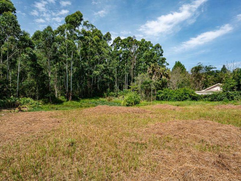 Your Dream Starts Here. Build in Beautiful Crestholme - Photo 8