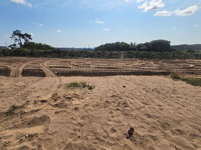 **Discover Klipheuwel Estate**  Ecxellent investment - Photo 4