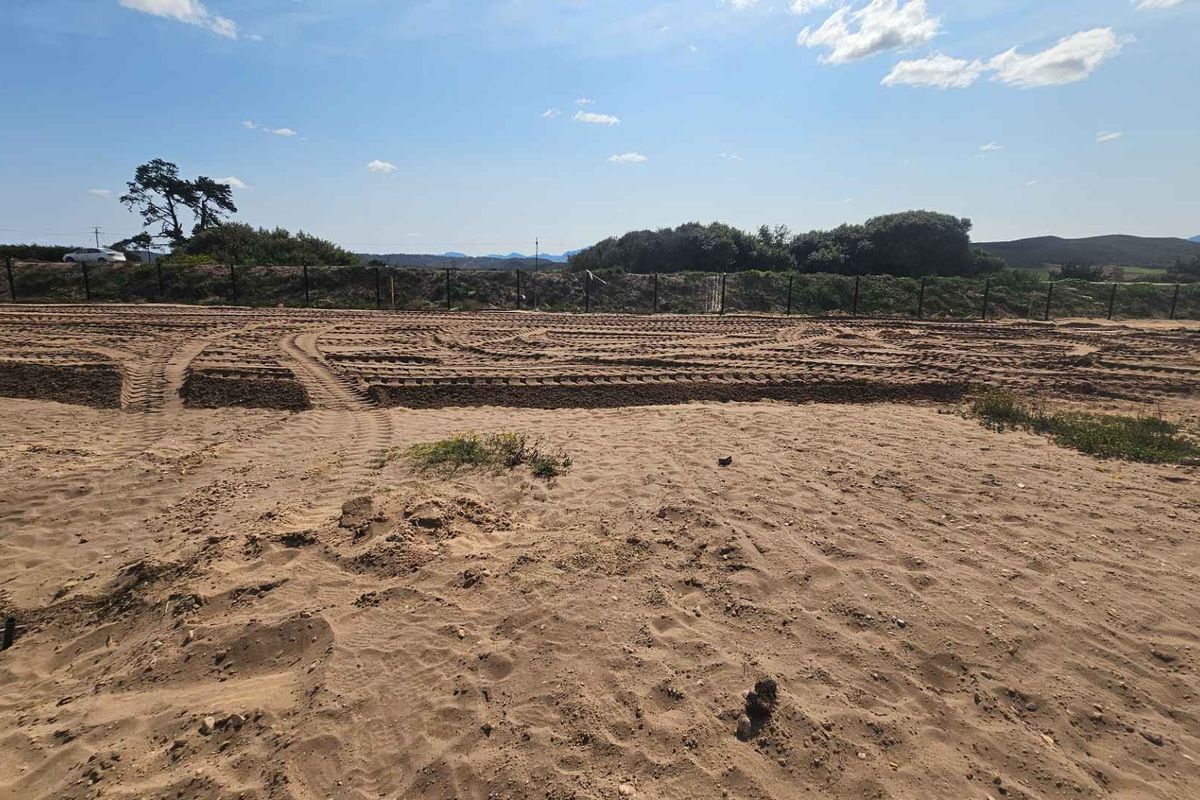 **Discover Klipheuwel Estate**  Ecxellent investment - Photo 4